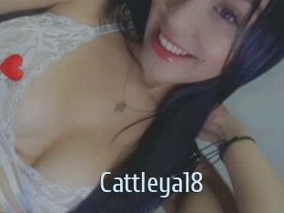 Cattleya18