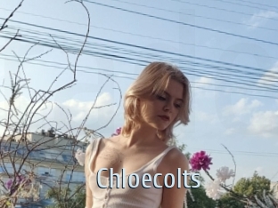 Chloecolts