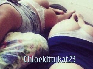 Chloekittykat23