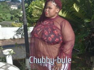 Chubby_bule