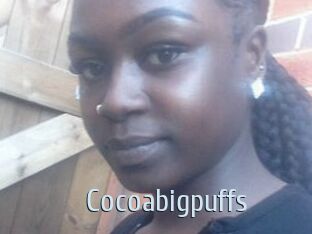 Cocoabigpuffs