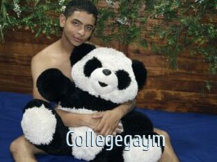 collegegaym Ta Model