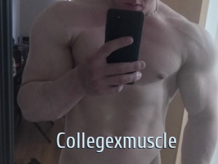 Collegexmuscle