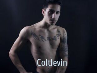 Coltlevin