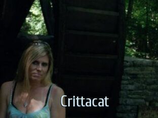 Crittacat