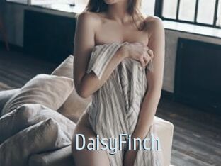 DaisyFinch