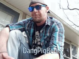 DangPigBenis