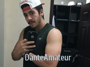 DanteAmateur Ta Model