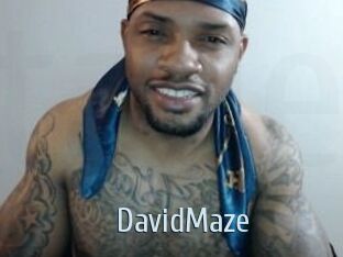 David_Maze