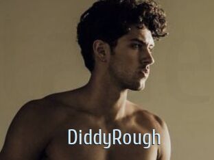 DiddyRough