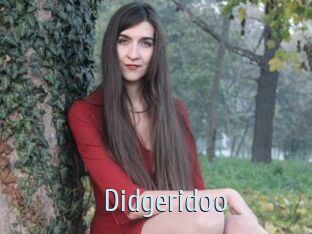 Didgeridoo