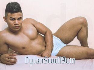 DylanStud19cm