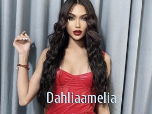 Dahliaamelia