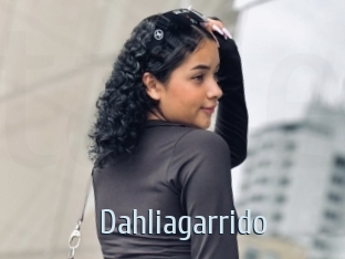 Dahliagarrido