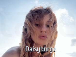 Daisyburge