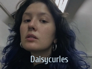 Daisycurles