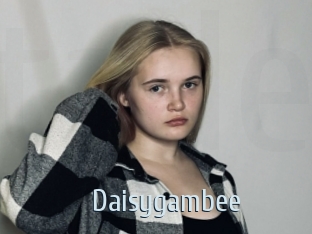 Daisygambee