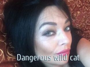 Dangerous_wild_cat