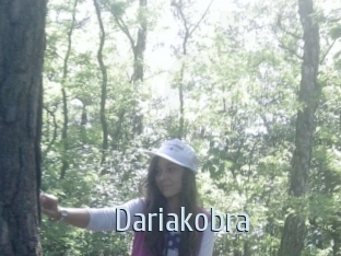 Dariakobra