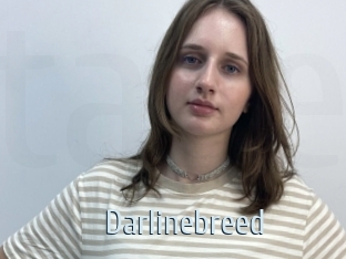 Darlinebreed