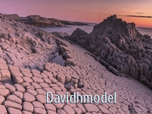 Davidhmodel