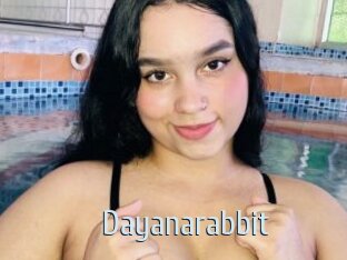 Dayanarabbit