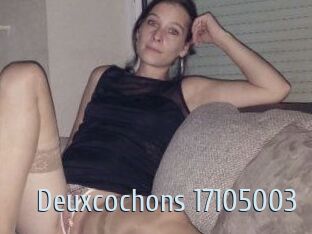 Deuxcochons