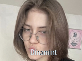 Dinamint