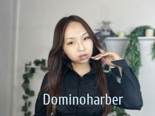 Dominoharber