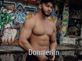 Donmerlin