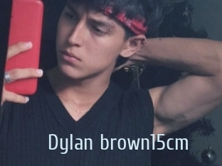 Dylan_brown15cm