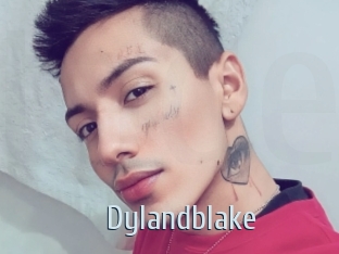 Dylandblake