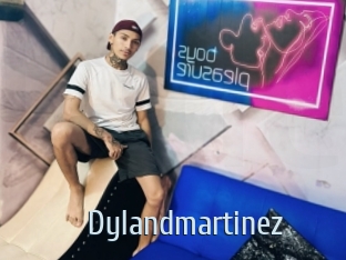 Dylandmartinez