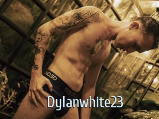 Dylanwhite23