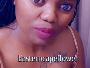 Easterncapeflower