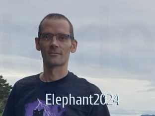 Elephant2024