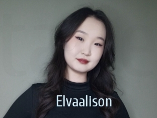 Elvaalison