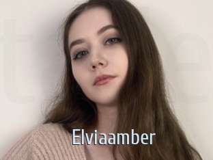 Elviaamber