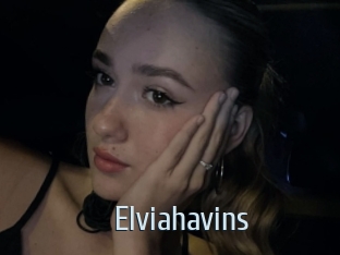 Elviahavins