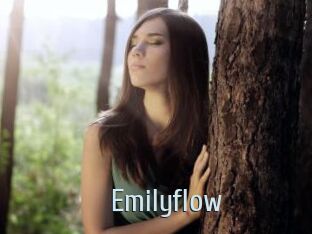 Emilyflow