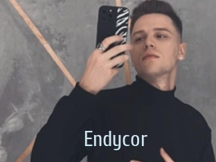 Endycor