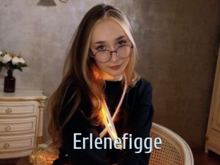 Erlenefigge