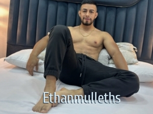 ethanmulleths Ta Model