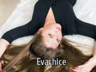 Evachice