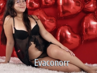 Evaconorr