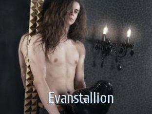 Evanstallion