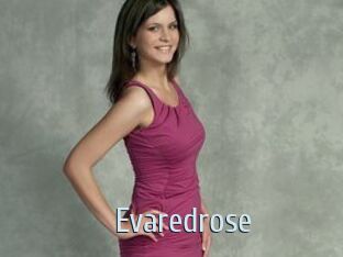 Evaredrose