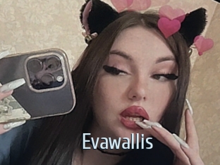 Evawallis