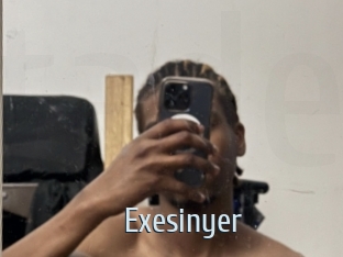 Exesinyer