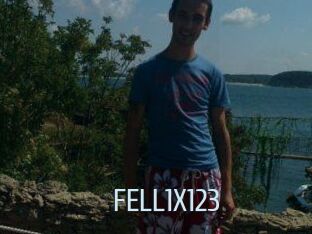 FELL1X123